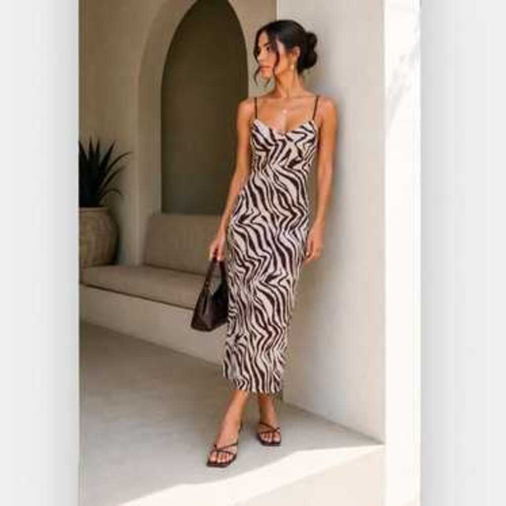 NWT Revolve x Camila Coelho Zebra Maxi Dress